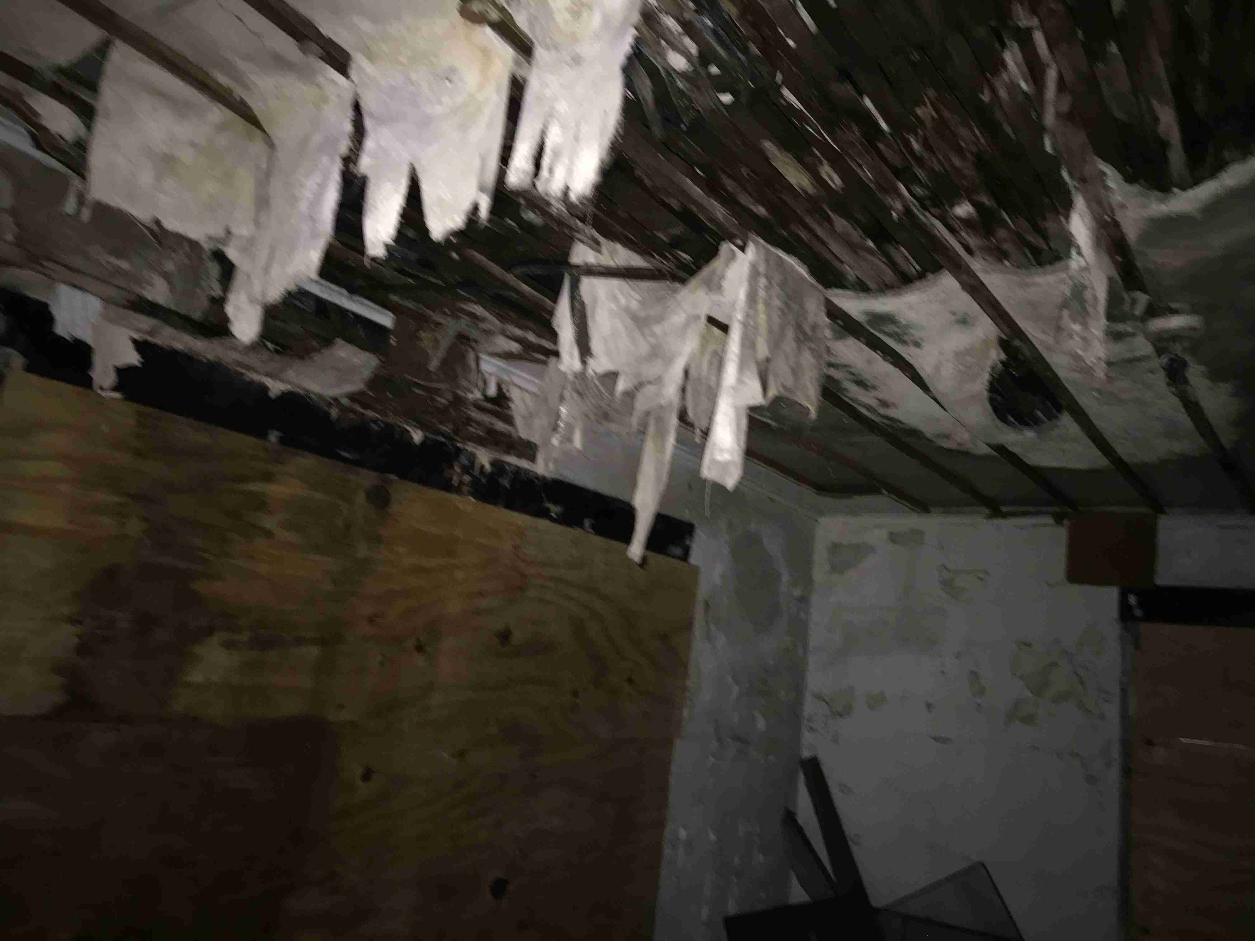 Photo Nov 05, 7 47 54 AM.jpg